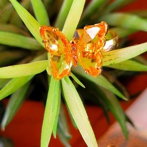 Meet your Posher, Shey